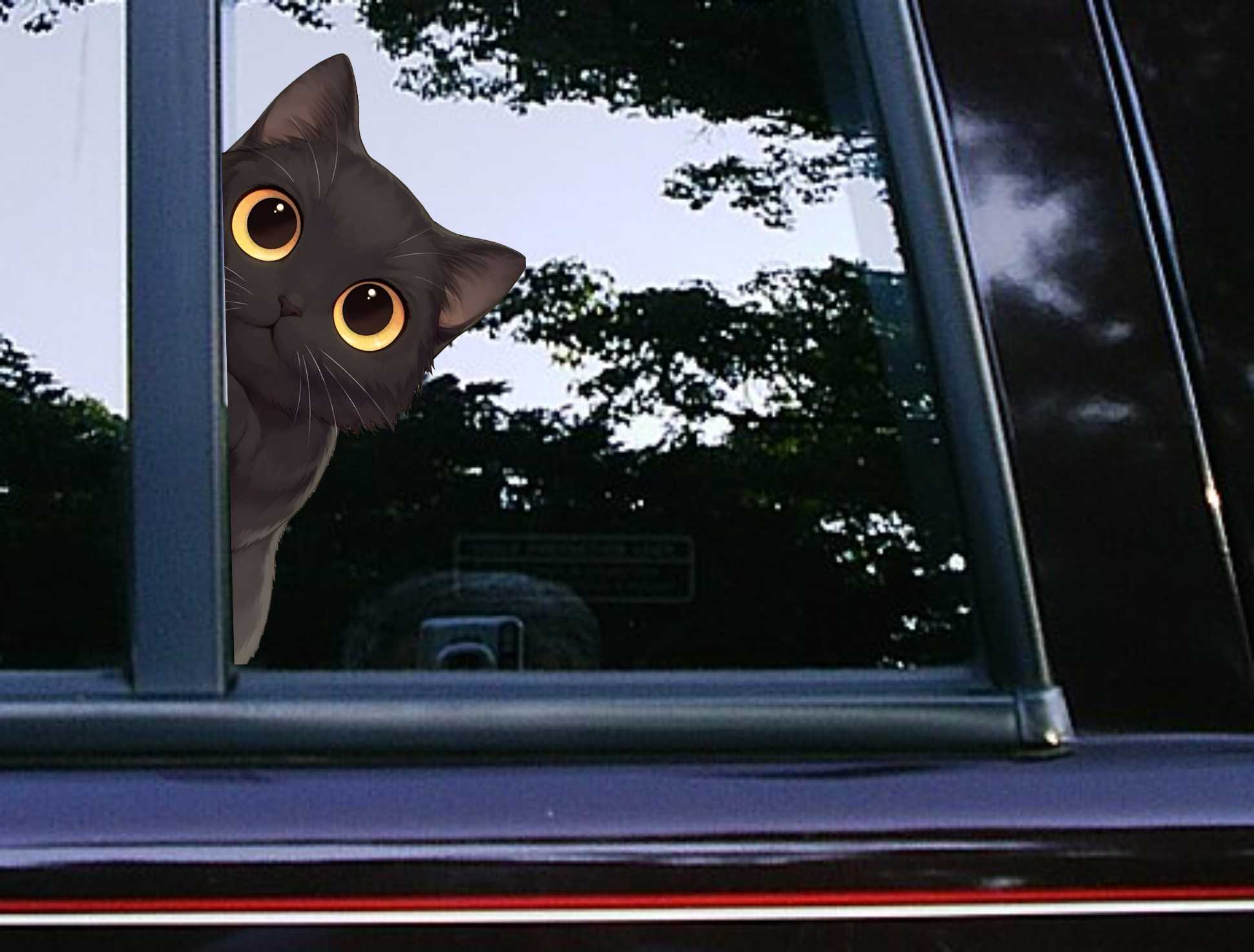 Black Cat Side Peeker