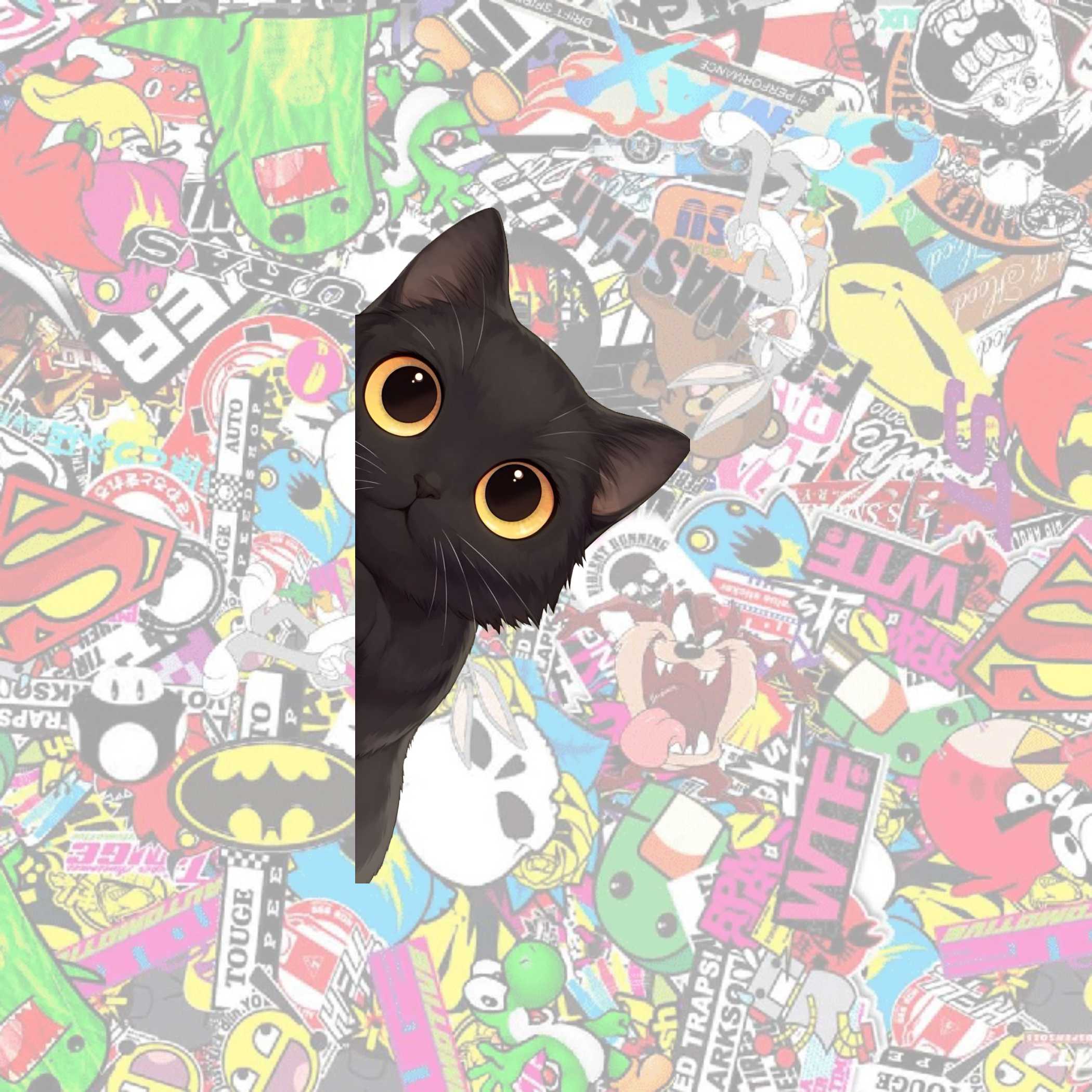 Black Cat Side Peeker