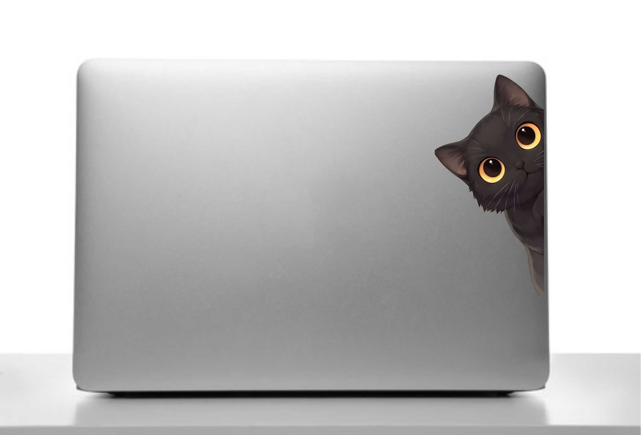 Black Cat Side Peeker