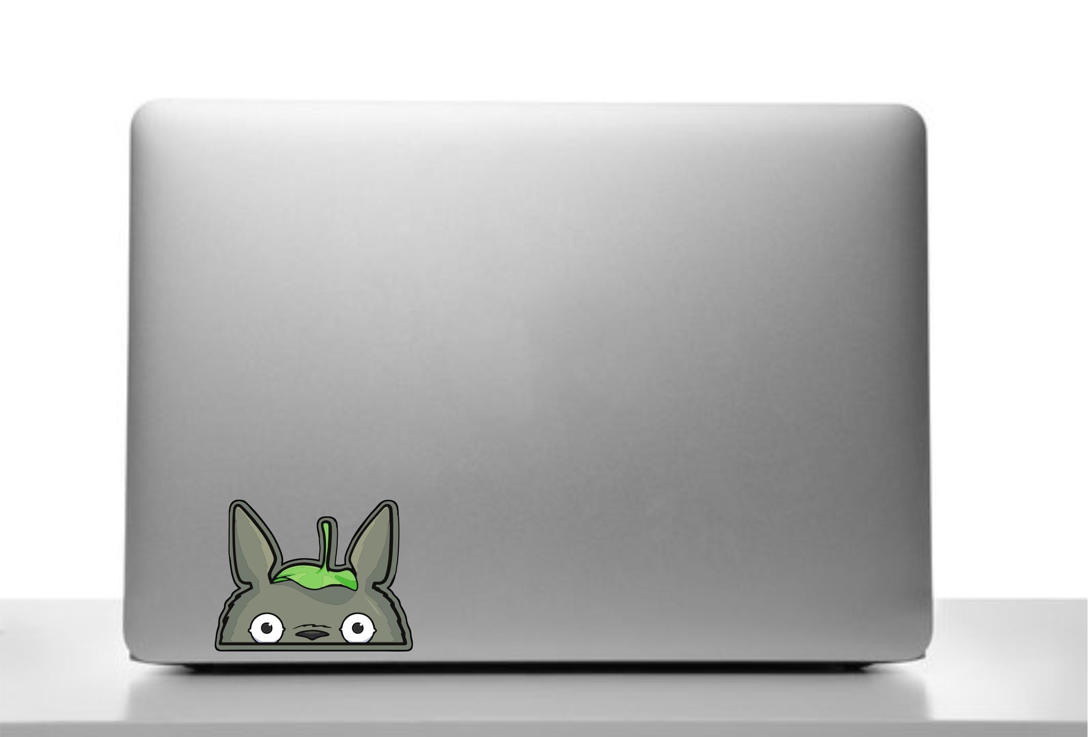 Totoro Peeker