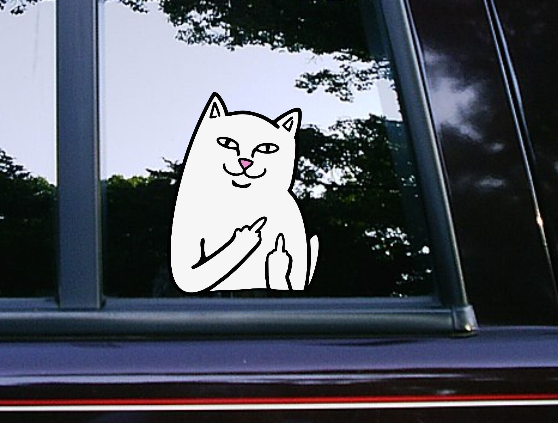 Flipping off Cat Meme Peeker