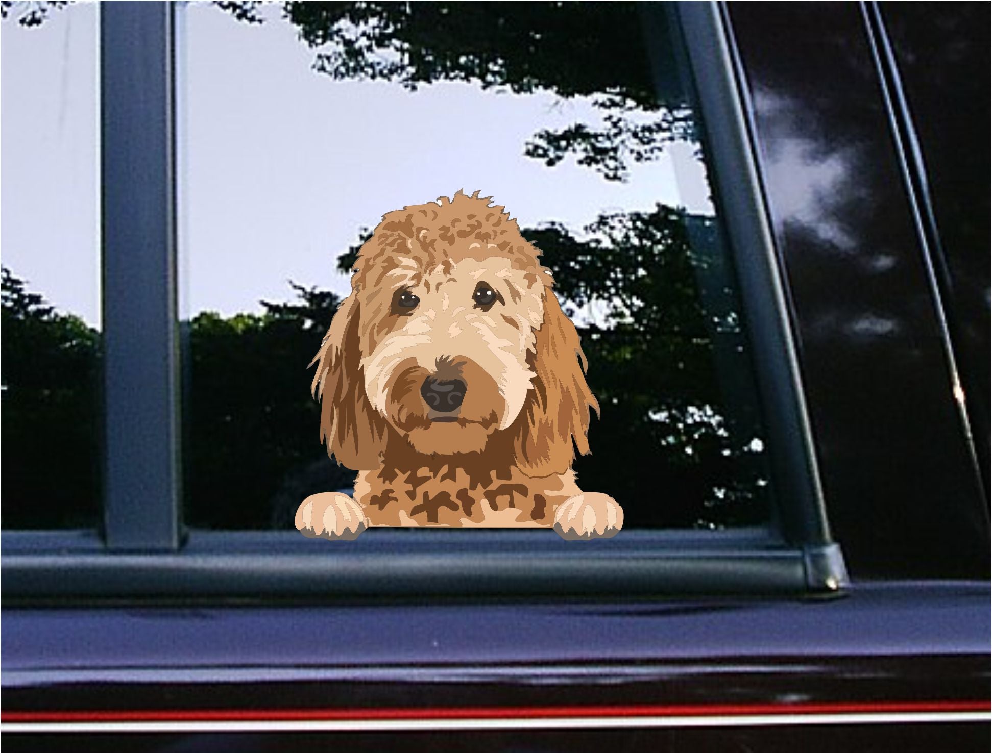 Golden Poodle Peeker