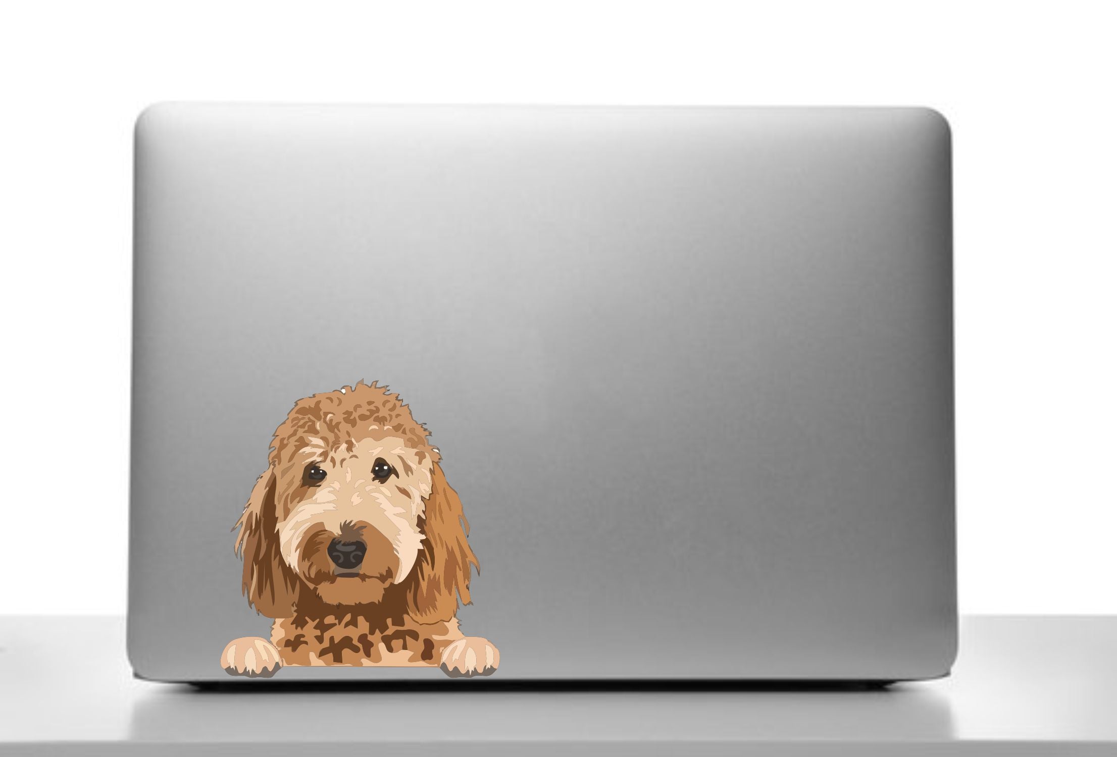 Golden Poodle Peeker